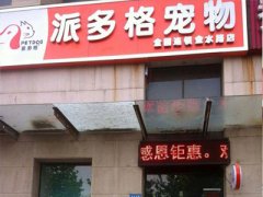 派多格河南鄭州寵物美容店