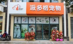 派多格南京寵物美容店