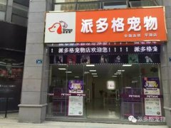 熱烈慶祝浙江嘉興平湖寵物美容新店盛大開業!